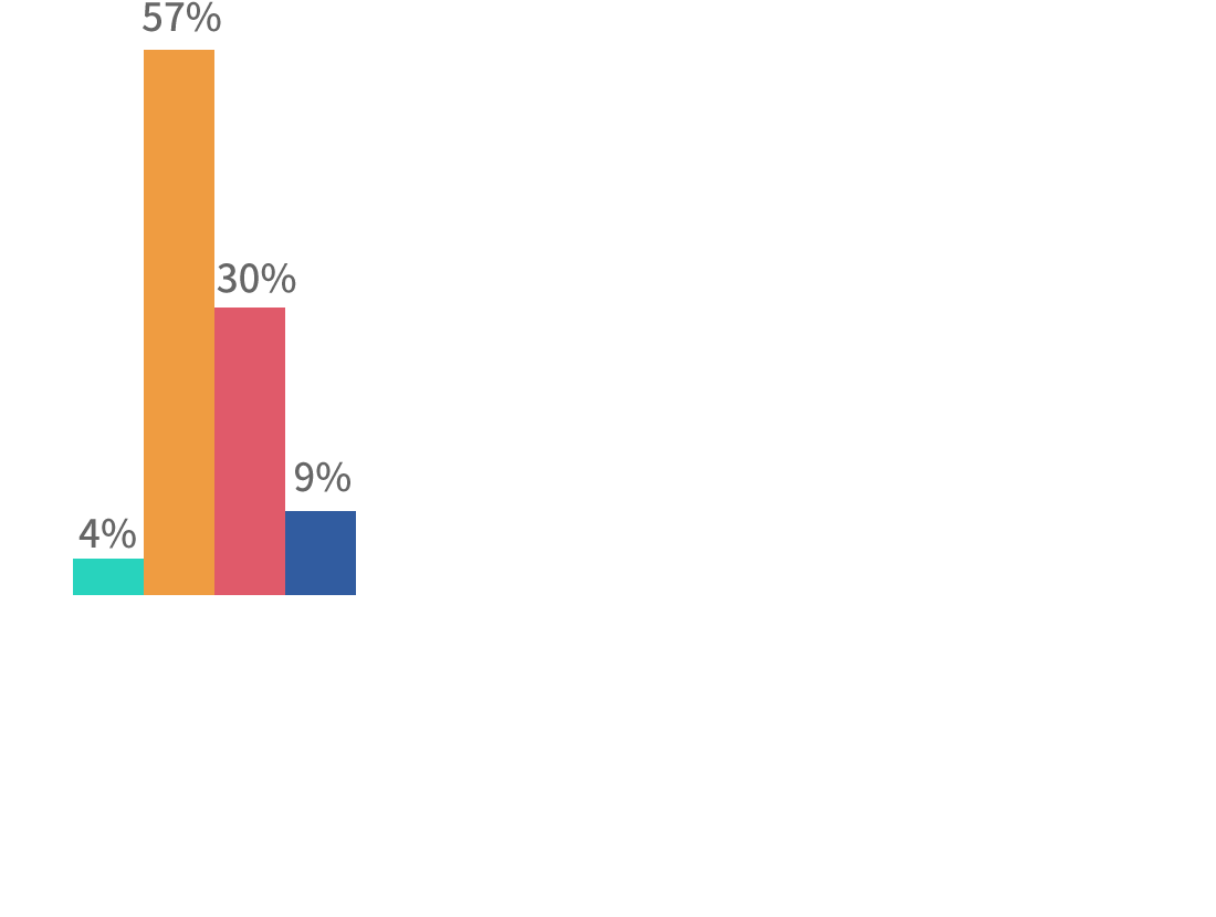 4% 57% 30% 9%