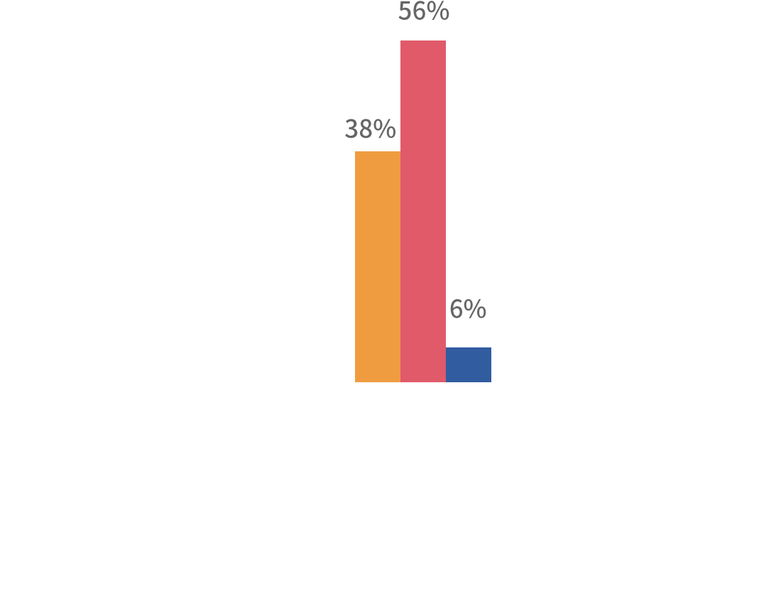 38% 56% 6%